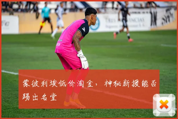 蒙彼利埃低价淘金，神秘新援能否踢出名堂
