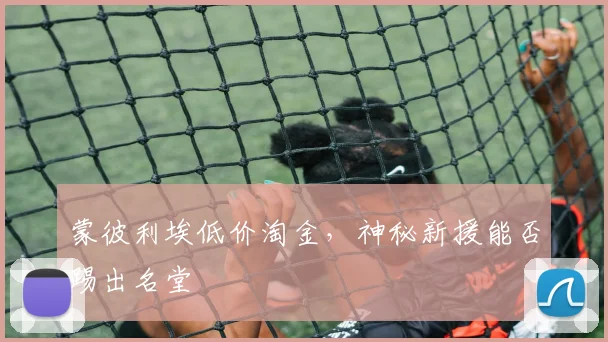 蒙彼利埃低价淘金,神秘新援能否踢出名堂