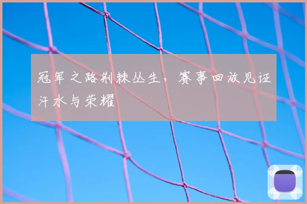 冠军之路荆棘丛生,赛事回放见证汗水与荣耀